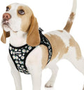 rabbitgoo Step-in Small Dog Harness, Puppy Vest by rabbitgoo