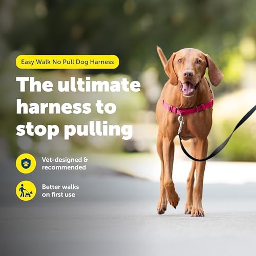 PetSafe Easy Walk Harness for Dogs - Image 2