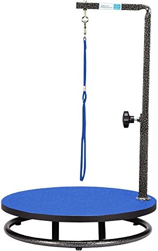 Master Equipment Pet Grooming Table by PetEdge