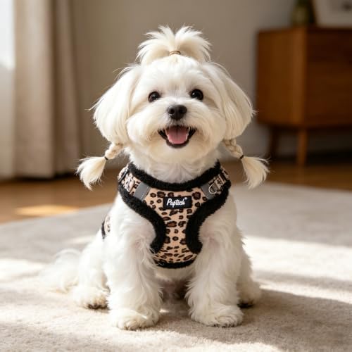 PUPTECK Dog Harness and Leash Set Small Sized, Step in No Pull Adjustable Puppy - Image 6