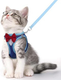 Cat Vest Harness and Leash Set, Escape Proof Kitten Harness Blue M by NCMAMA