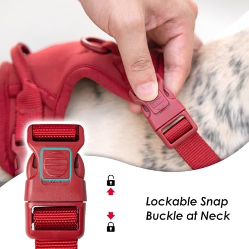 Sunraymascota No Pull Dog Harness - Image 2