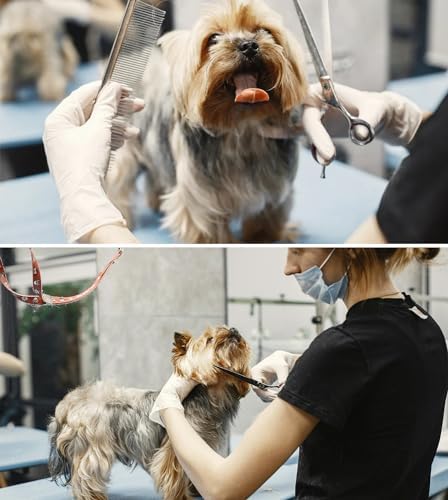 Dog Grooming Straight Scissors 7 inch Professional Pet Shears Made Of Japanese - Image 5