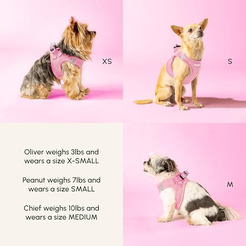 Pastel Step-In Harness for Small Dogs - Image 3