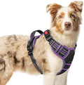 rabbitgoo Dog Harness Medium Sized, Updated Easy On & Off by rabbitgoo