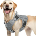 rabbitgoo Tactical Dog Harness for Medium, Heavy Duty Military No Pull Vest by rabbitgoo