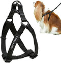 Step-in Dog Harness for Medium Sized Breeds Adjustable No-Pull Soft Vest by Unknown
