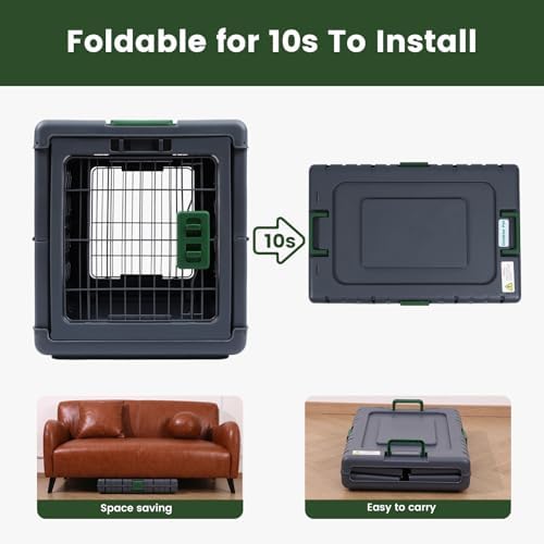 Collapsible Dog Crate for Small/Medium Dogs - Image 3