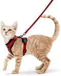 rabbitgoo Cat Harness and Leash Set, Escape Proof Vest by rabbitgoo