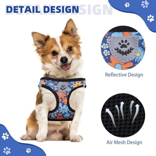 KOOLTAIL Dog Harness and Leash Set - Image 4