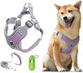 Patas Lague Dog Harness with Leash Set by PatasLague