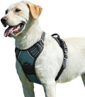 Eagloo Dog Harness for Large Dogs, No Pull Pet Vest by GoExplorewithEagloo