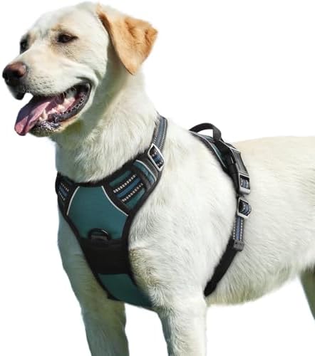 Eagloo Dog Harness for Large Dogs, No Pull Pet Vest by GoExplorewithEagloo