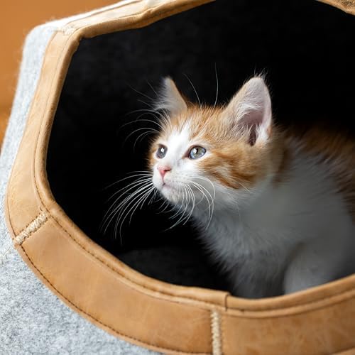 Kitty City Felt Round Bed, Warm and Cozy cat Bed - Image 6