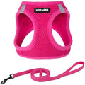 Voyager Step-in Air Cat Harness & Leash Set by BestPetSuppliesLLC