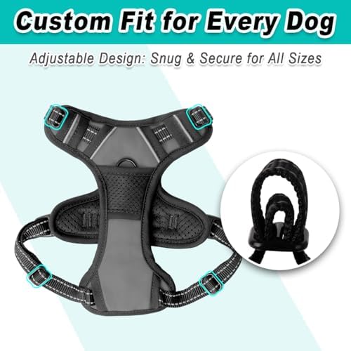 BARKBAY Dog Harness for Small Sized Dog No Pull 2 Leash Clips Dog Vest - Image 6