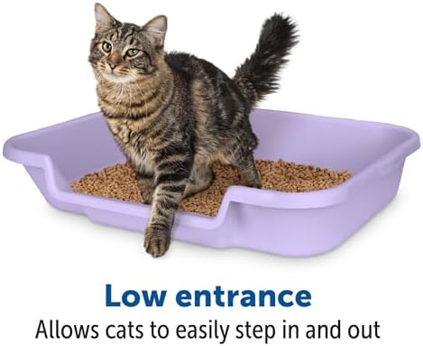 KittyGoHere Senior Cat Litter Box, Large Litter Pan, Storybook Lavender - Image 3