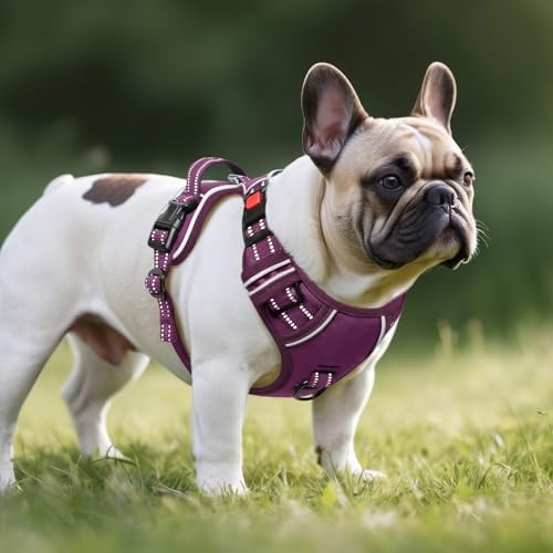 Timos Dog Harness Small Sized, Neck Quick Release - Image 6