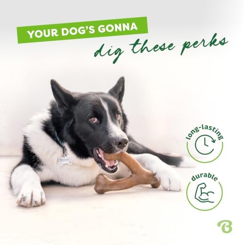 Benebone 2-Pack Wishbone Dog Chew Toy, Real Bacon & Chicken - Image 3