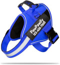 Custom No Pull Dog Harness by PawPawify