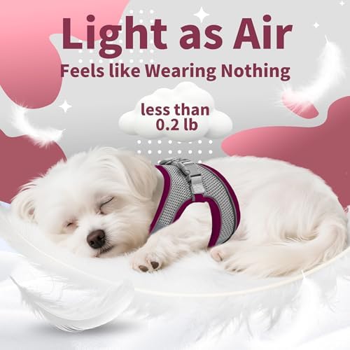 AIITLE Dog Harness and Leash Set, Step-in Puppy Pet Vest, Burgundy XS - Image 5