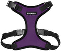 Voyager Step-in Lock Dog Harness by BestPetSuppliesLLC