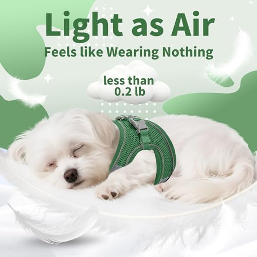 AIITLE Small Dog Harness and Leash Set, Step-in Puppy Pet Vest - Image 5