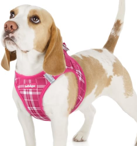 rabbitgoo Step-in Small Dog Harness, Puppy Vest by rabbitgoo