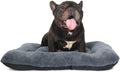 Crate Beds for Small Dogs, Comfort Fluffy Plush Dog Bed Kennel Pads for Crates by ZihapgpzpPetSupplies