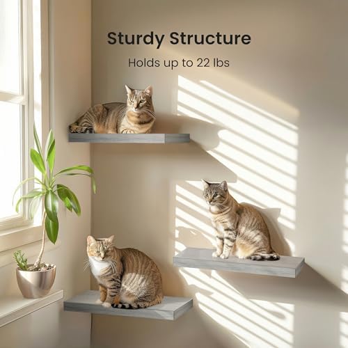 Amada 15.7" Floating Shelves for Wall Decor & Storage - Image 3