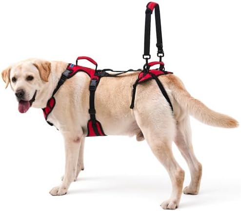 Dog Lifting Harness for Medium Dogs, Dual Handle Dog Support Harness for Daily by LAFOTY