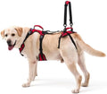 Dog Lifting Harness for Medium Dogs, Dual Handle Dog Support Harness for Daily by LAFOTY