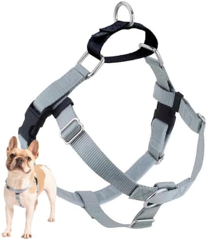 2 Hounds Design Freedom No Pull Dog Harness, 1 inch LG by 2HoundsDesign