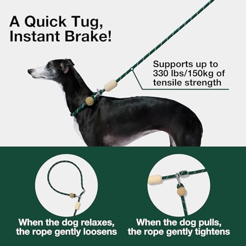 VETRESKA Hands-Free Dog Leash, 8FT Green Rope Leash - Image 3