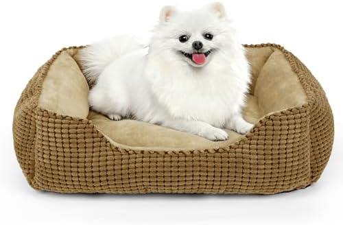 MIXJOY Dog Beds for Medium Dogs Washable, Rectangle Pet Bed Medium Size Dog by MIXJOY