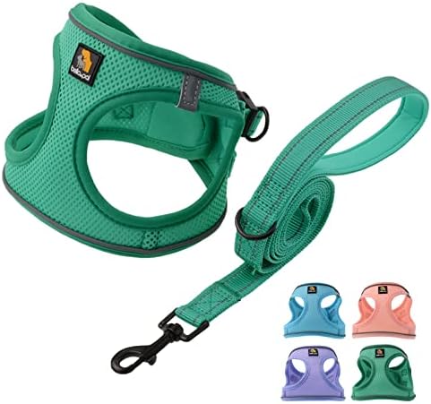 BELLA & PAL Small Emerald Dog Harness by BELLAPAL