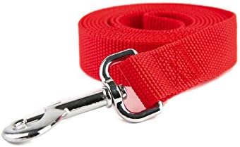 Nylon Dog Training Leash, Traction Rope, 4/5/6 Feet Long, 3/4 Inch 1 Inch Wide - Image 2