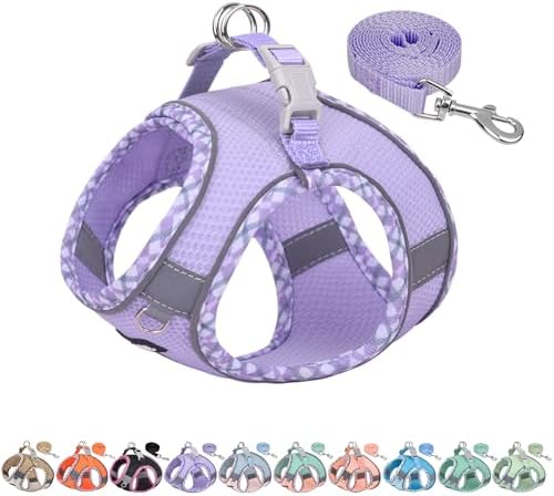 AIITLE Small Dog Harness and Leash Set by AIITLE-FORPETSBETTERLIFE