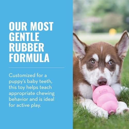 KONG Puppy, Natural Rubber Teething Chew Toy, - Image 3