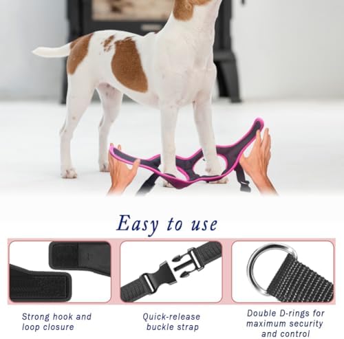 Comfort Fit Dog Harness Soft Padded No Pull Harness - Image 6