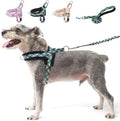 BEAUTYZOO No Pull Small Dog Harness and Leash Set, Soft Puppy Vest Harness by BEAUTYZOO