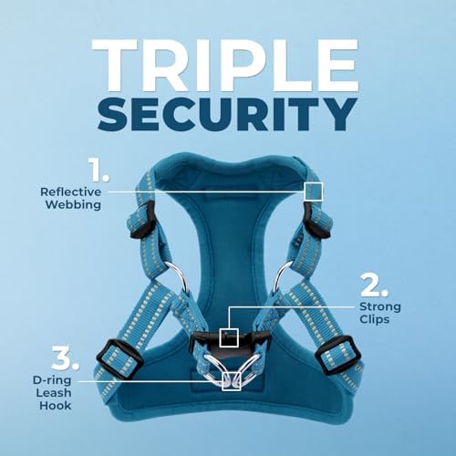 Best Pet Supplies Voyager Adjustable Step-in Flex Breathable Mesh Dog Harness - Image 3
