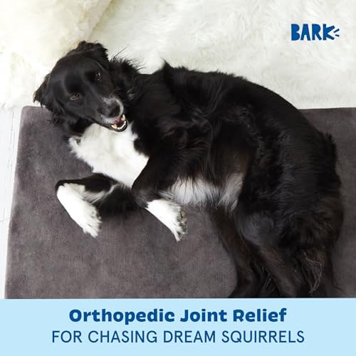 BarkBox Orthopedic Dog Bed - Image 4