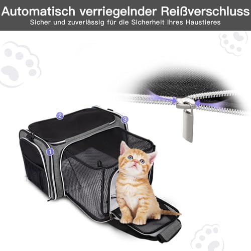 BAGLHER Cat Carrier Bag, Airline Approved Pet Carrier Soft Side Pet Travel 5 - Image 4
