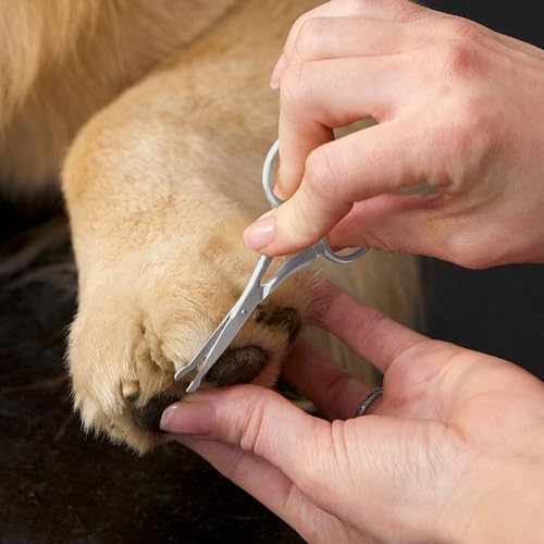 Tweezerman Pet Grooming Scissors-Rounded Tip Trimming Scissor - Image 6