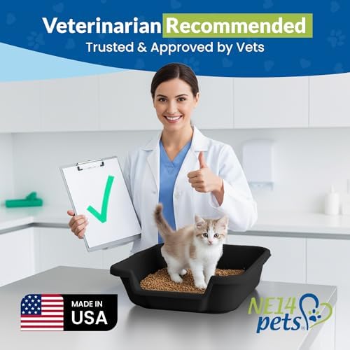 KittyGoHere Senior Cat Litter Box, Small Pan, 2 Pack Black - Image 4