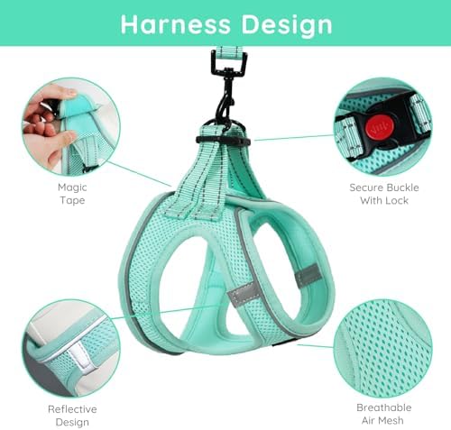 BELLA & PAL Small Dog Harness - Image 2