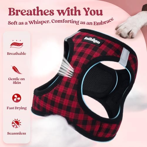 rabbitgoo Dog Harness Small Sized and Leash Set, Step-in Puppy Pet Vest - Image 4