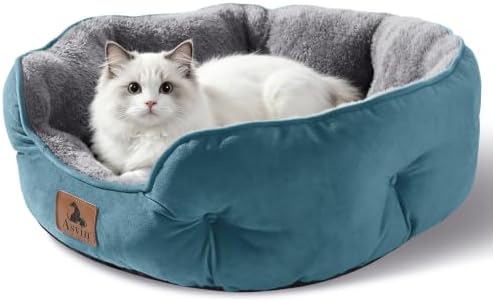 Asvin Small Dog Bed for Small Dogs, Cat Beds for Indoor Cats, Pet Bed for Puppy - Image 2