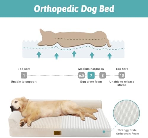 COZY KISS Orthopedic Dog Bed for Large Sized Dogs, L Shaped 36x27 inch - Image 2